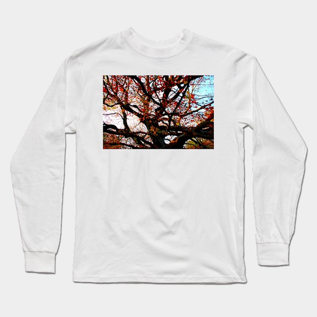 Bizarrely curved and interwoven branches of a beech tree with red leaves in Canfaito forest Long Sleeve T-Shirt by KristinaDrozd